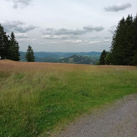 Ferienhaus Usseln Willingen  Bagian luar foto